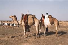 Algerien-08.jpg